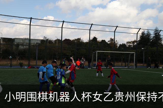 小明围棋机器人杯女乙贵州保持不败 内蒙古领跑丙组